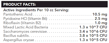 Fast Balance-G.I. 35 cc