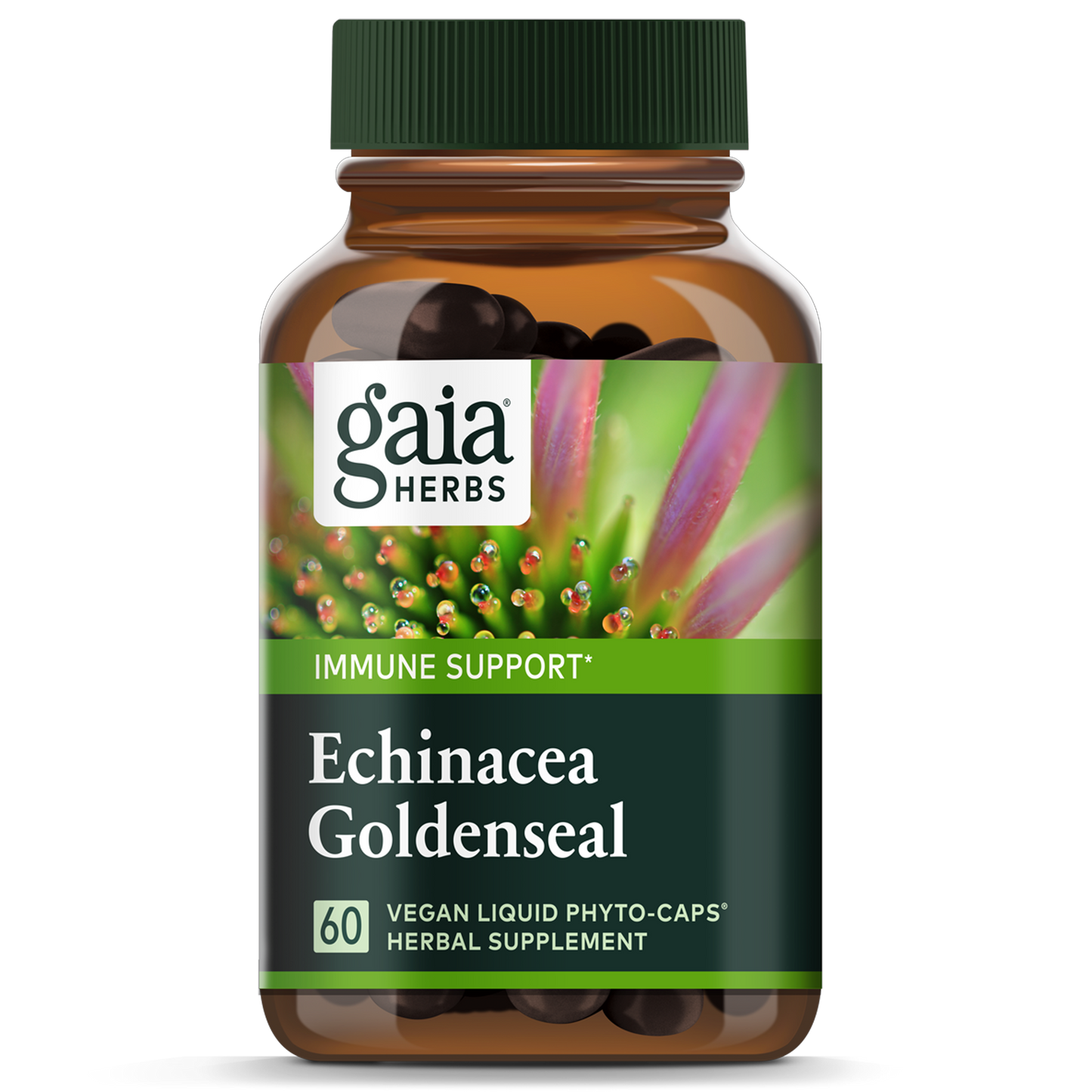 Echinacea Goldenseal 60c