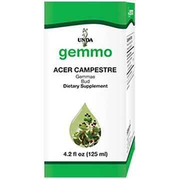 Acer Campestre 4.2 fl oz