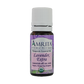 Lavender Extra (Organic) 10 ml