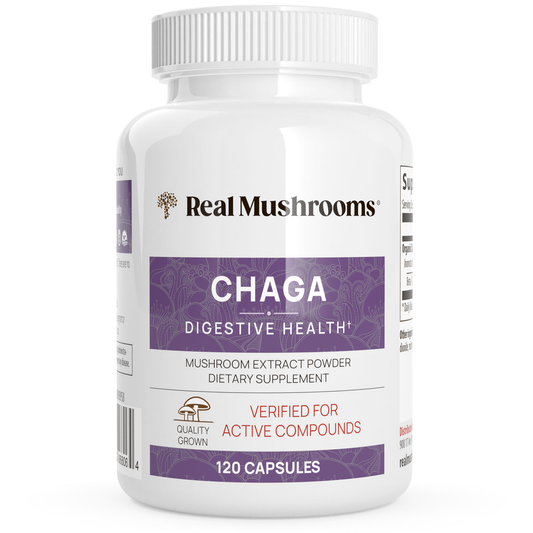 Chaga Extract Capsules 120c