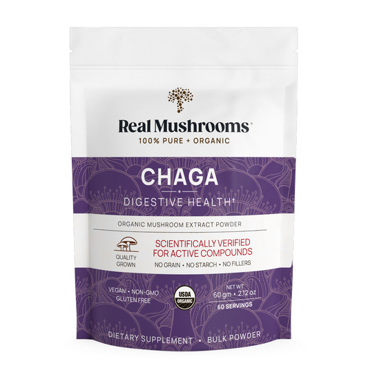 Chaga Extract Powder 60g