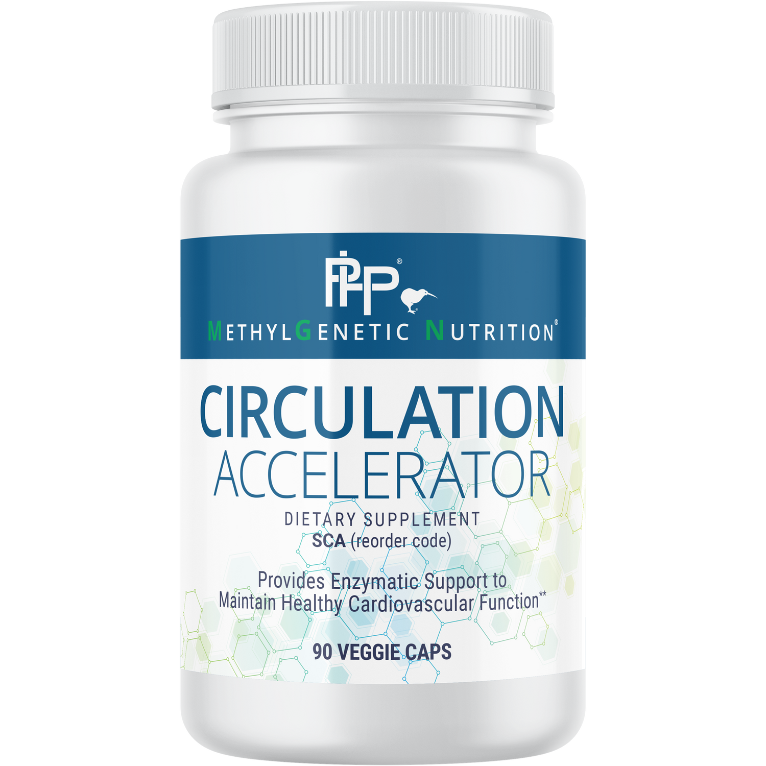 Circulation Support