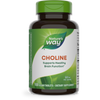 Choline 500 mg 100 tabs