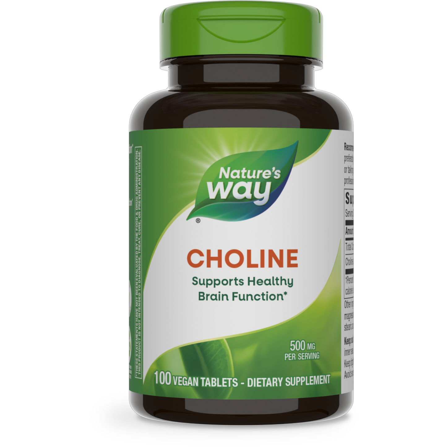 Choline 500 mg 100 tabs