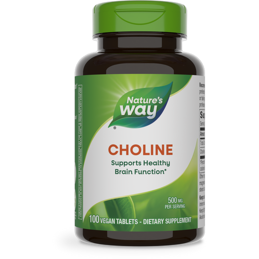 Choline 500 mg 100 tabs