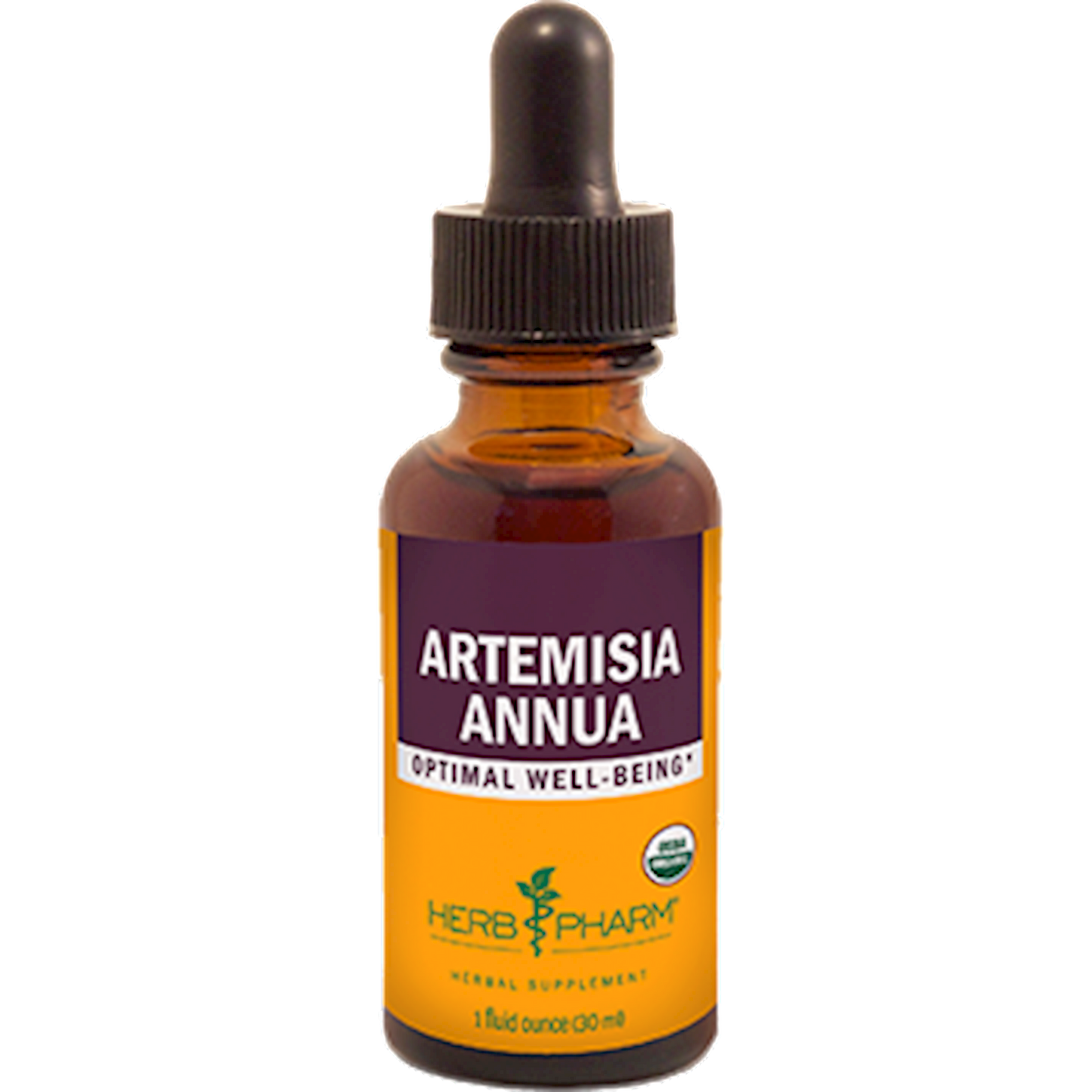 Artemisia annua 1 oz