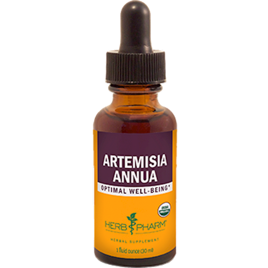 Artemisia annua 1 oz