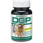 DGP 60 chew