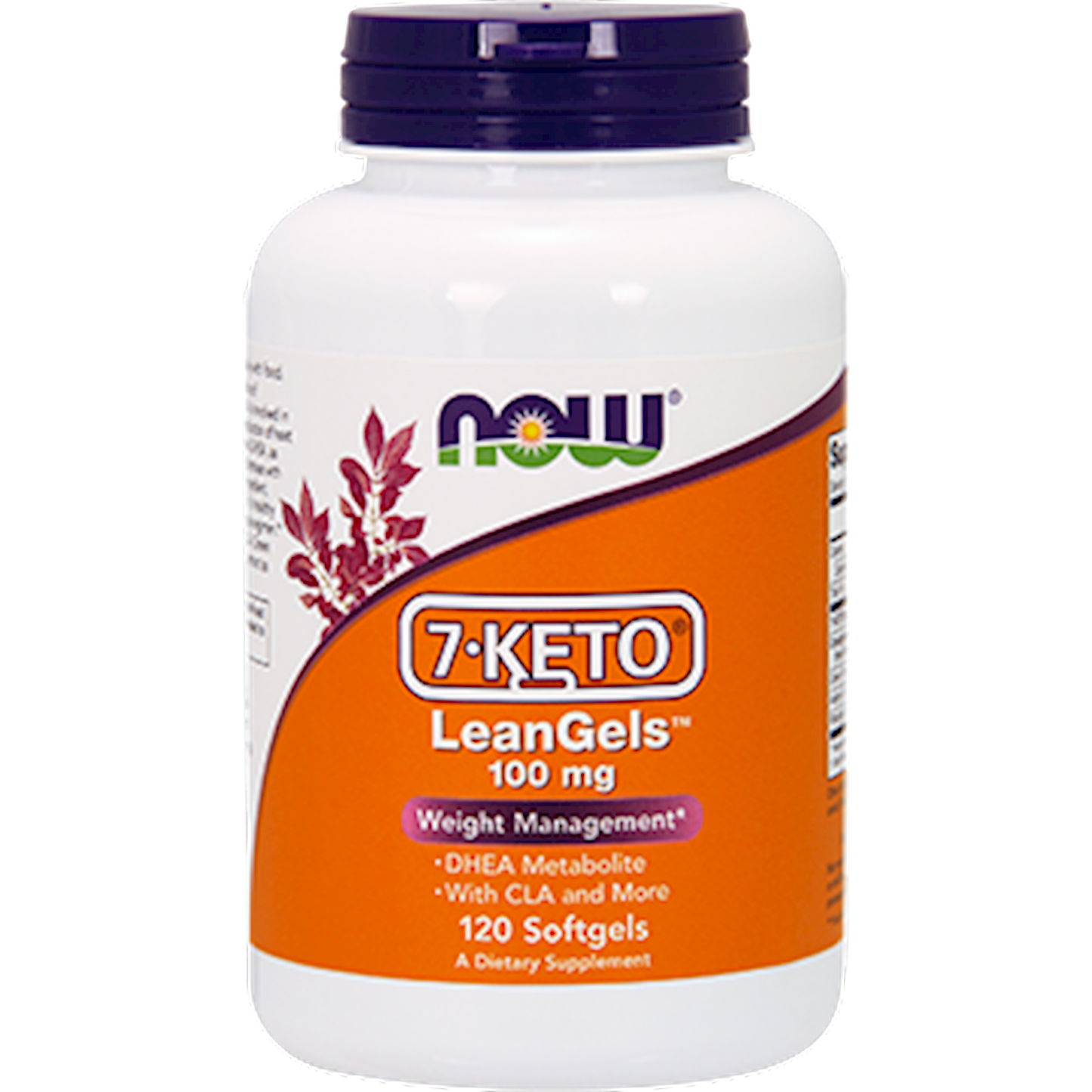 7-KETO LeanGels 100 mg 120 softgels