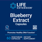 Blueberry Extract 60 vegcaps