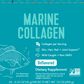 Marine Collagen 20 Stick Pk