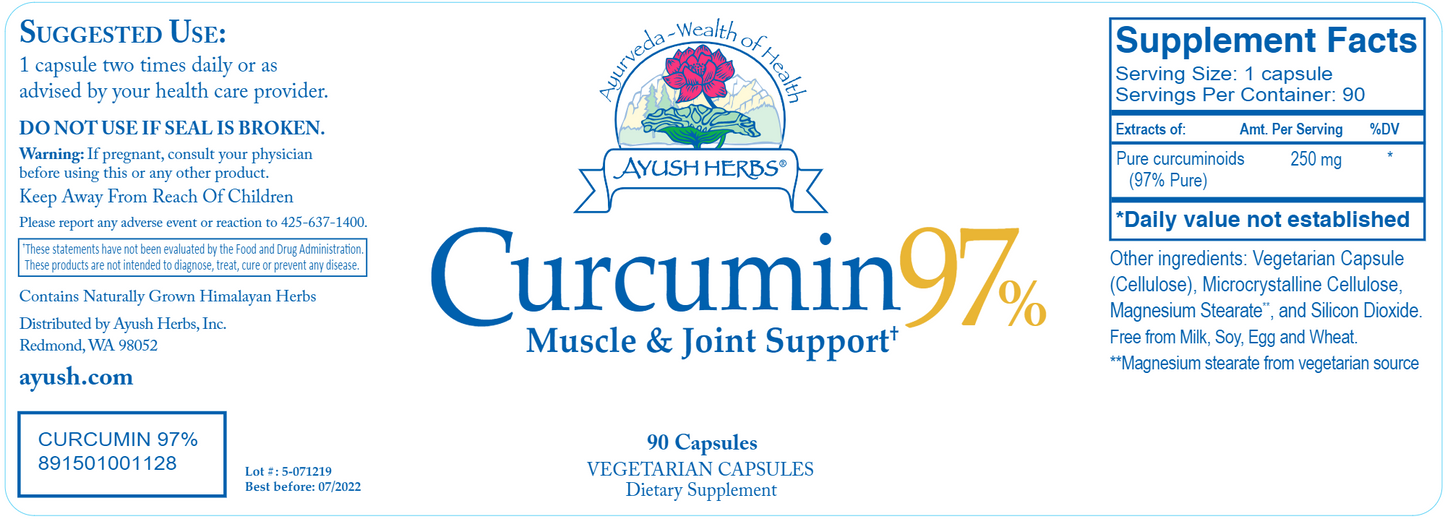 Curcumin 97% 90 vegcaps