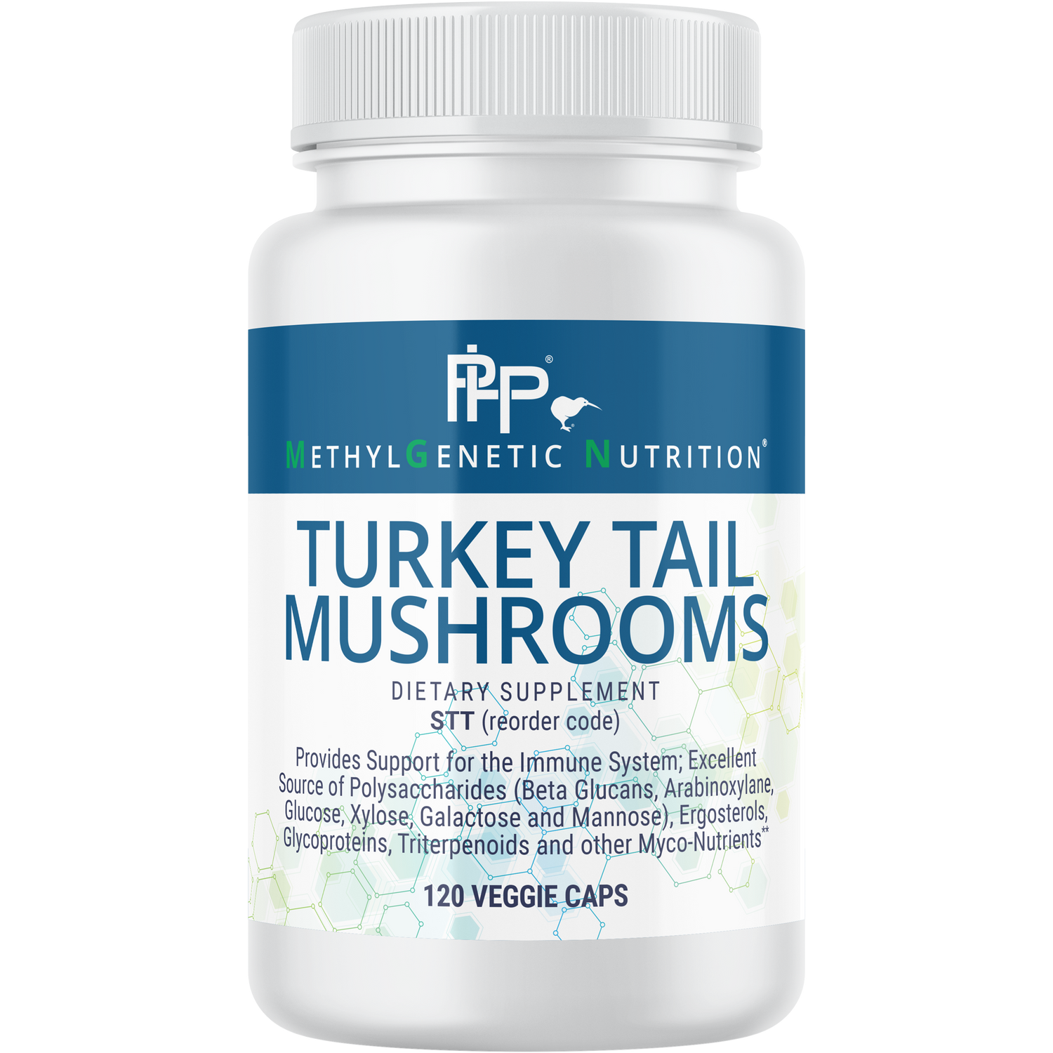 Immune Support